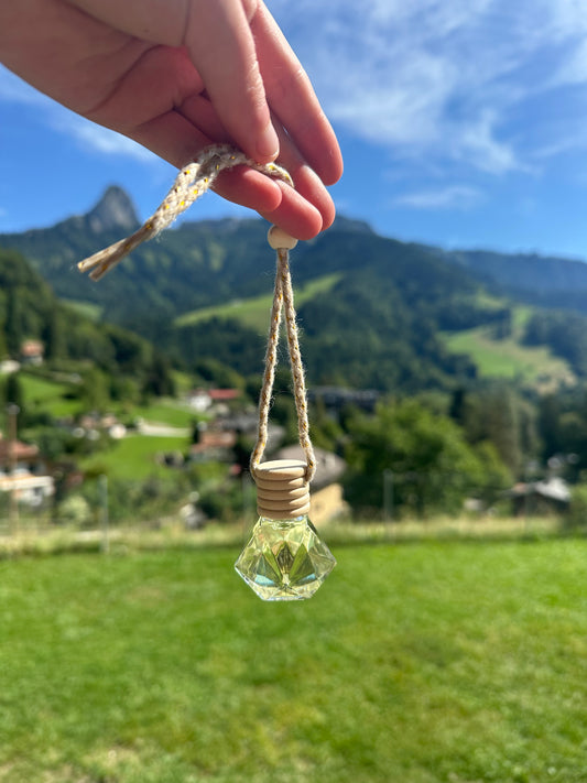 Hanging car diffuser