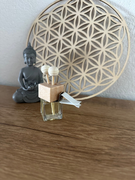 Car diffuser to hang