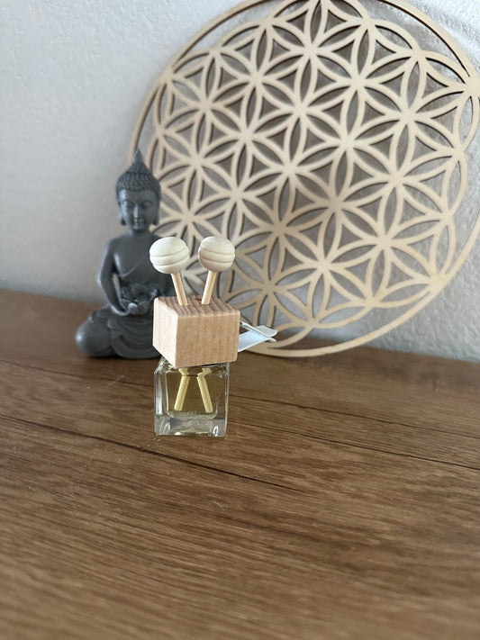 Diffuseur voiture à accrocher