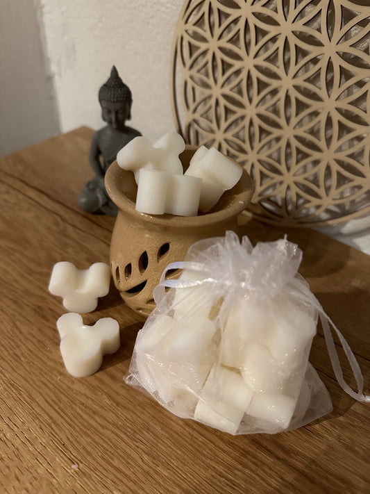 Fondants Disney